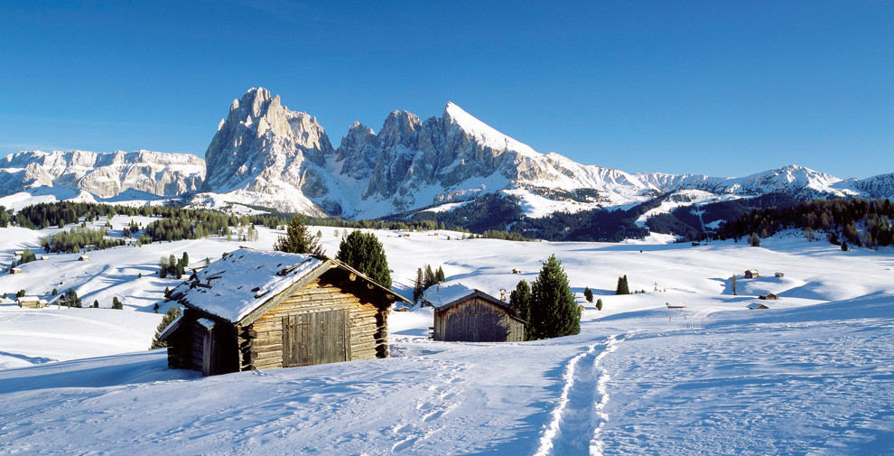 Sciare e sci di fondo all'Alpe di Siusi