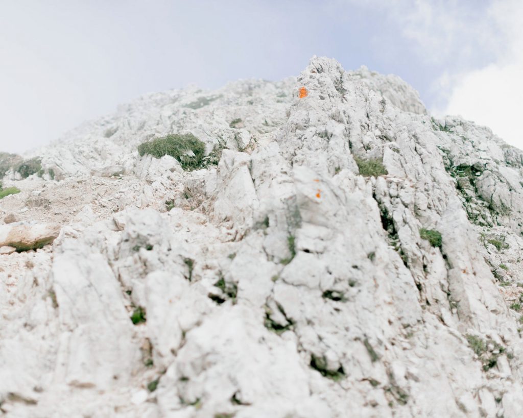 Dolomitgestein - Detailaufnahme